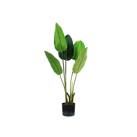 Pianta Strelitzia In Polietilene Con 5 Foglie E Vaso 100cm