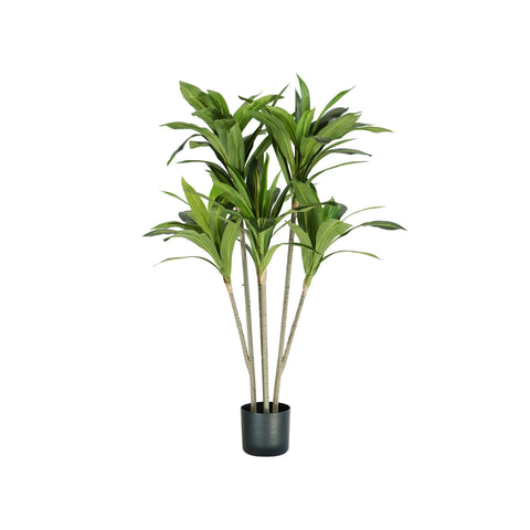 garden friend pianta dracaena in polietilene con 88 foglie e vaso con muschio 130cm ean 8023755056513