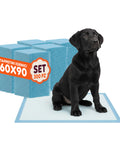 Tappetini Igienici Traversine Essential Pannolini 60×90 – Set Multi Formato con Adesivi