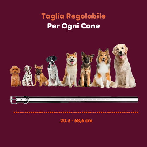 Collare Educativo Cani Taglia Grande/Piccola - Impermeabili e Controllo fino a 1000m
