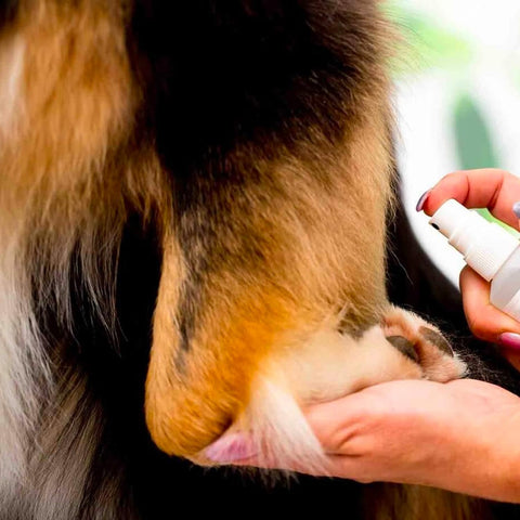 immagine-3-smapiu-spray-igienizzante-zampe-per-animali-con-spugnetta-55ml-ean-8033765130790