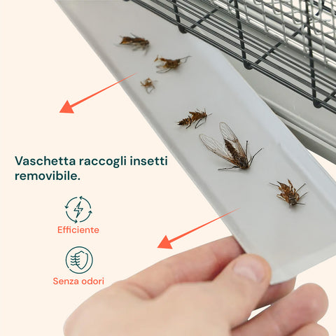 Vaschetta raccogli insetti removibile efficiente e senza odori, facile da pulire per gestione igienica degli insetti eliminati