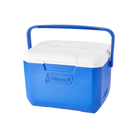 Frigo Termico Ghiacciaia 4l